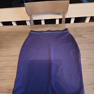 Sears Women's Blue Pencil Skirt